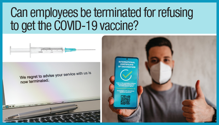 Covid-Employment-Law-Vaccine-termination-Just-Cause-Wray-Legal-Toronto.